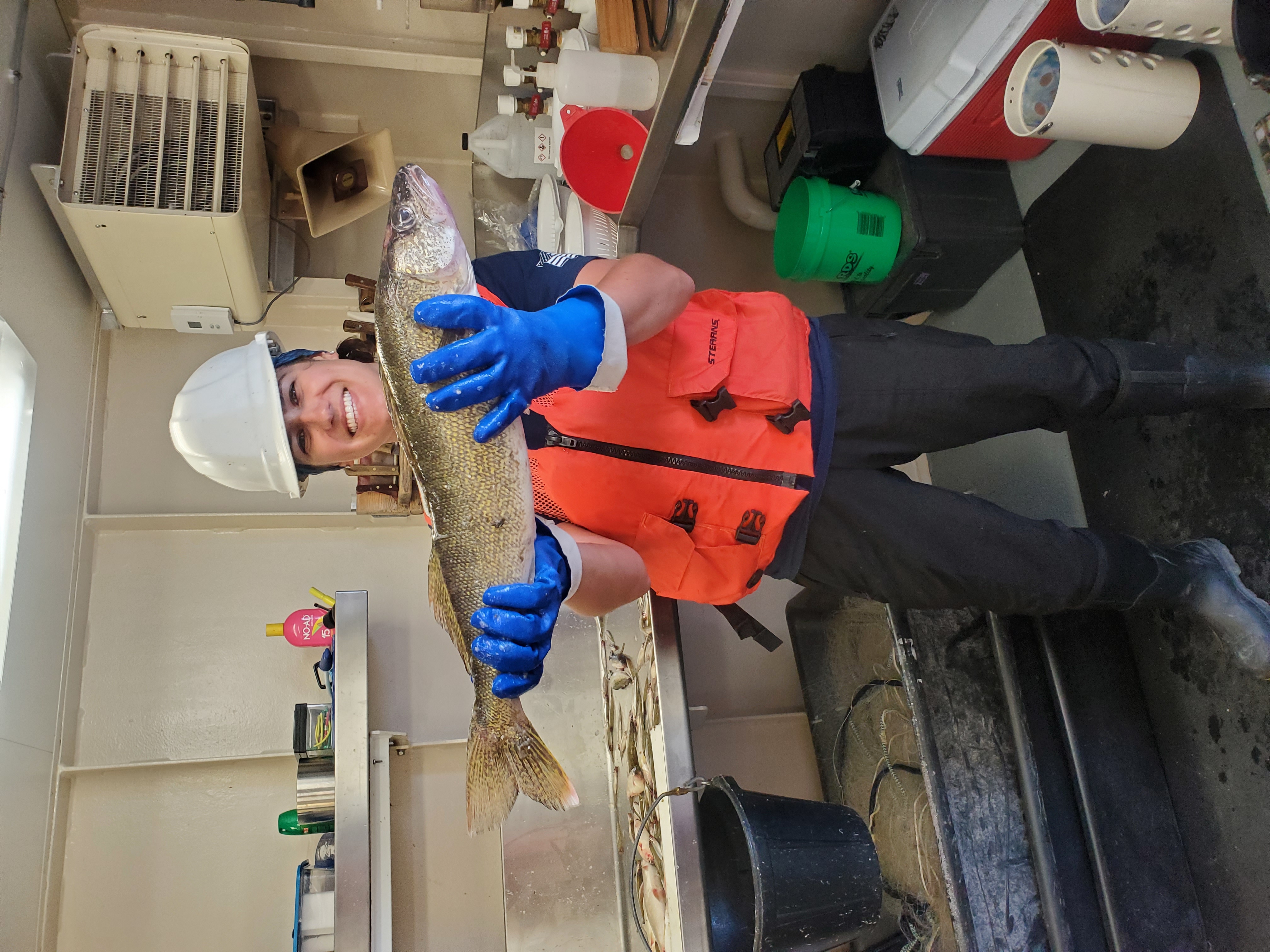 Researcher wearing an orange vest and white hard hat holding a large walley id=